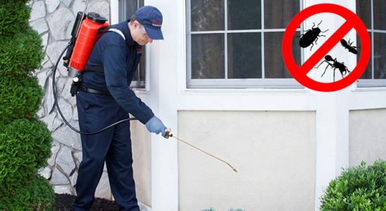 Artuklu Kene İlaçlama böcek ilaçlama ve haşere kontrolü — ilaclama-tr.com